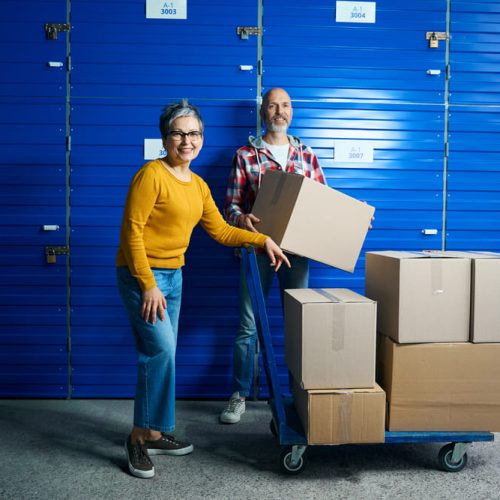 Control de plagas: la mejor defensa para tus pertenencias almacenadas