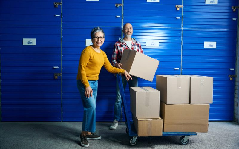 Control de plagas: la mejor defensa para tus pertenencias almacenadas